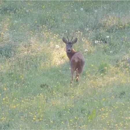 Apartment La Casa Di Maria - 2 A 4 Personnes