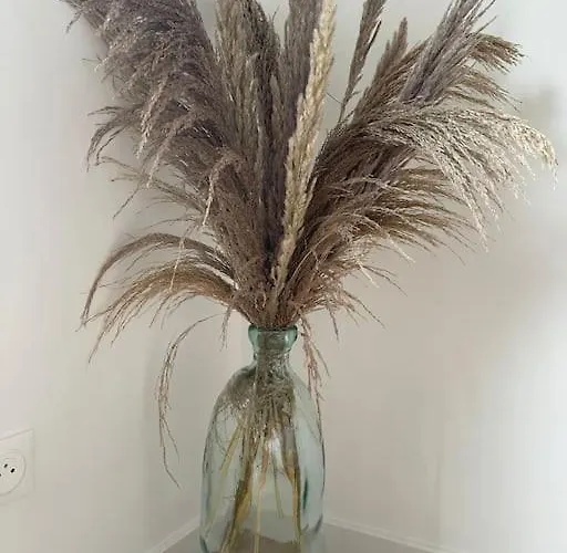 Appartement La Casa Di Maria - 2 à 4 Personnes