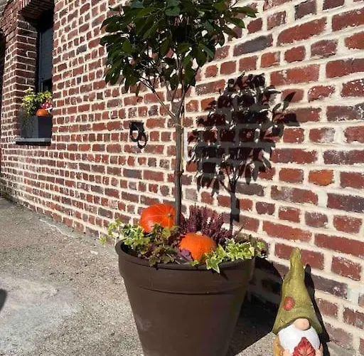 Appartement La Casa Di Maria - 2 à 4 Personnes *