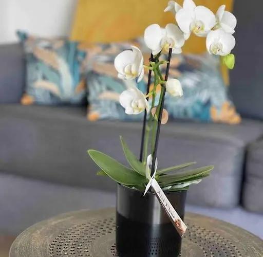 La Casa Di Maria - 2 à 4 Personnes * Lespesses