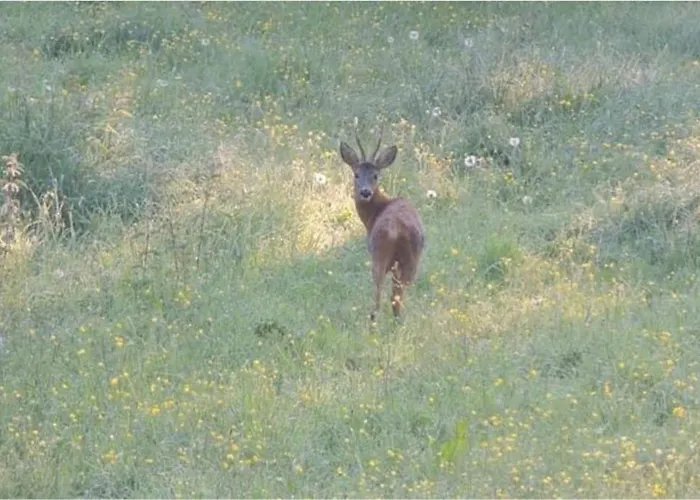 Appartement La Casa Di Maria - 2 à 4 Personnes